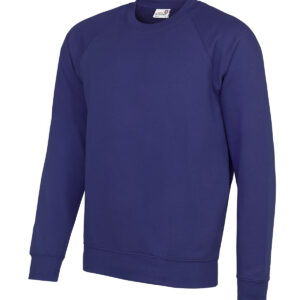 Senior Academy raglan sweatshirt - Academy Purple, XS