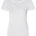 Women's Cascade organic tee