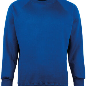 Kids Coloursure™ sweatshirt - Royal, 22" Chest