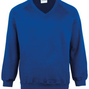 Kids Coloursure™ v-neck sweatshirt - Royal, 22" Chest