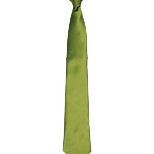 'Colours' satin clip tie - Oasis Green, One size