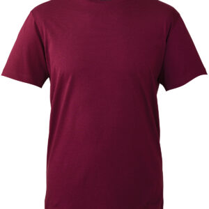 Anthem t-shirt - Burgundy, XS