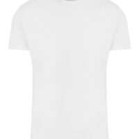 Arctic White