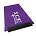 CABOT ICE SCRAPER - PURPLE, 100-249