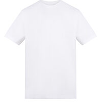 Arctic White