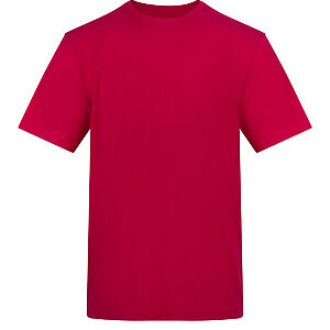 The AWDis 150 T - Hot Pink, S