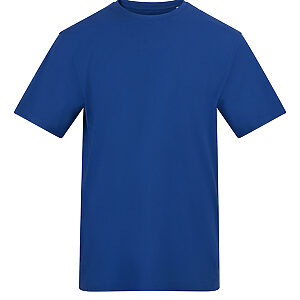 The AWDis 150 T - Royal* Blue, S