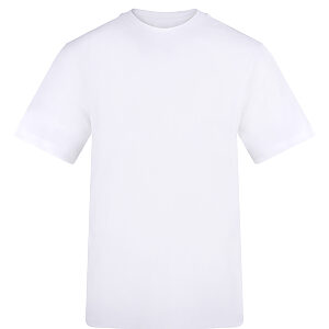 The AWDis 180 T - Arctic White, S