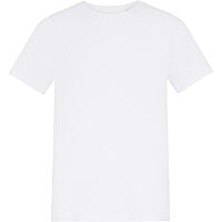 Arctic White