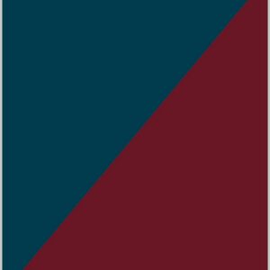 Basic raglan hoodie - Navy/Burgundy, XS