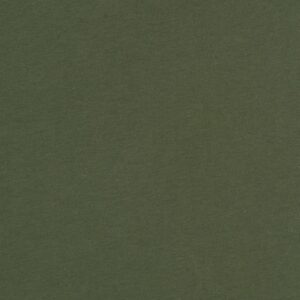 Unisex sponge fleece pullover DTM hoodie - Military Green, XS