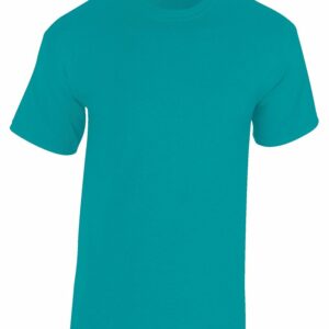 Heavy Cotton™ adult t-shirt - Antique Jade Dome, S