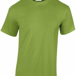 Heavy Cotton™ adult t-shirt - Kiwi, S