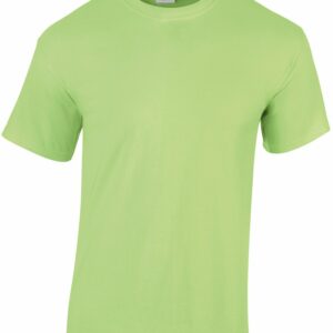 Heavy Cotton™ adult t-shirt - Mint, S