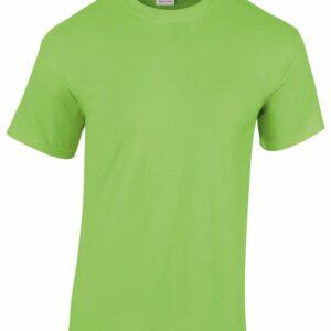 Heavy Cotton™ youth t-shirt - Lime, XS