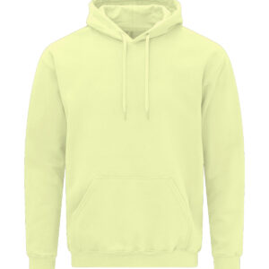 Softstyle™ midweight fleece adult hoodie - Pistachio, S