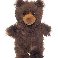 Brown Bear