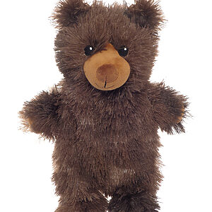 Novelty hot water bottles - Brown Bear, One size
