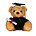 Graduation bear