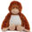 Zippie orangutan