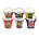 COLOURED MINI BUCKET GROW KIT