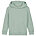 Kids Mini Cruiser 2.0 iconic hoodie sweatshirt (STSK180)