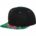 Hawaiian snapback (6089HW)